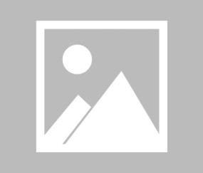 2025广东男篮全运会16人阵容名单一览表 豪华集结，杜锋剑指金牌！