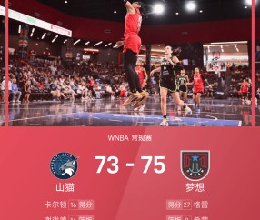 WNBA战报：格雷27分，梦想75-73力克联盟第一山猫